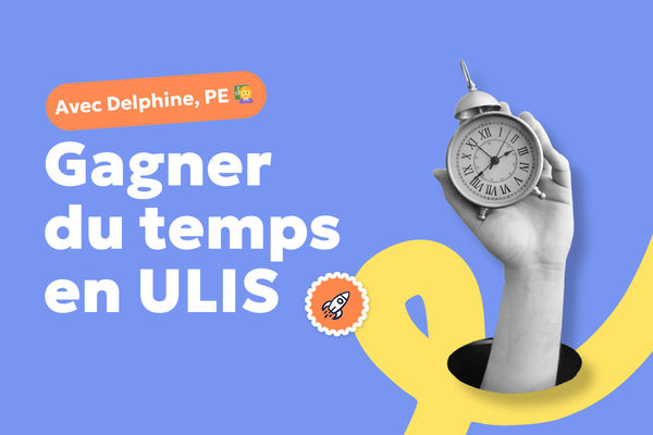 Aperçu article Retour d'expérience en ULIS avec Teetsh