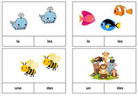Cartes à pinces singulier pluriel Maitresses Déjantée vignette 3