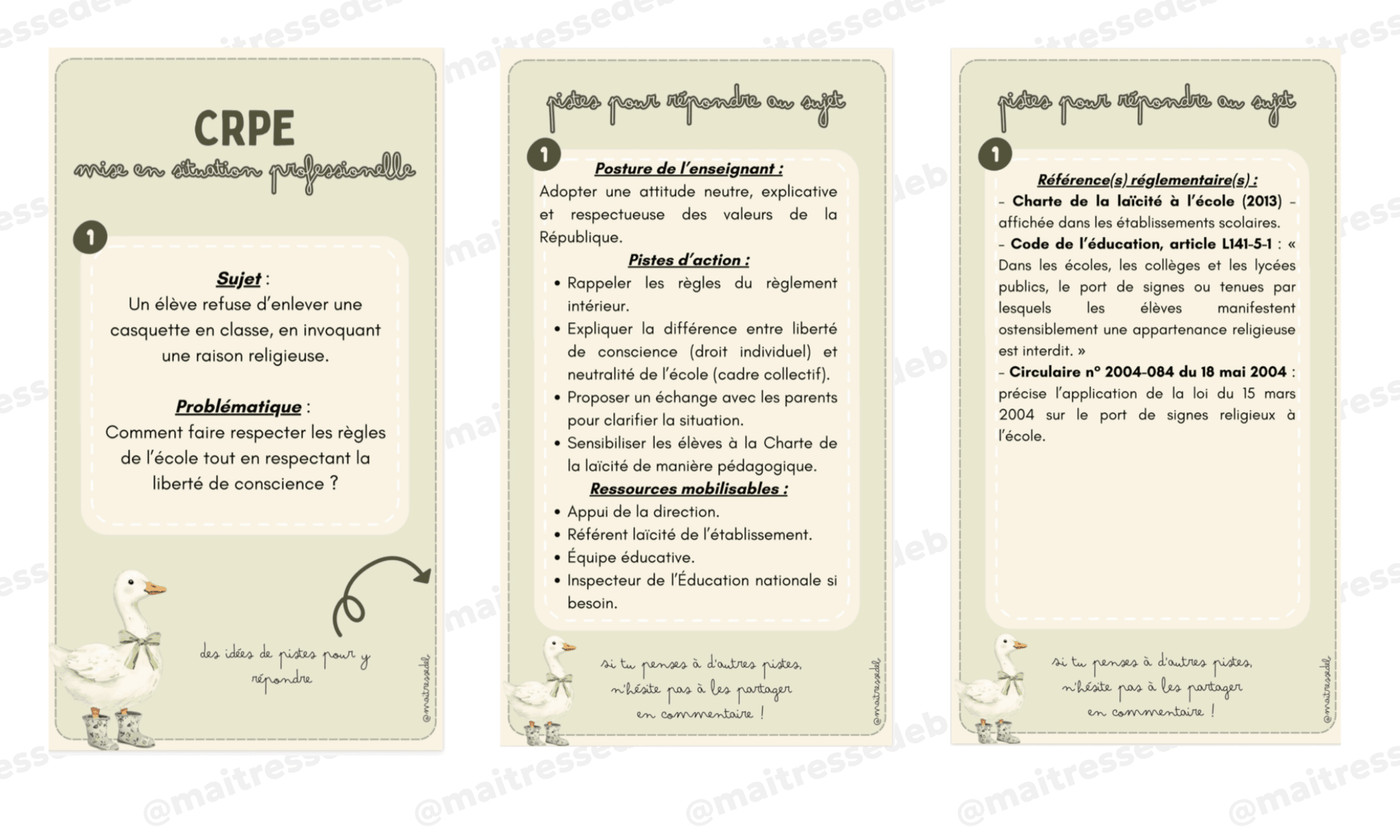 MSP CRPE Maitresse Deb Vignette 2