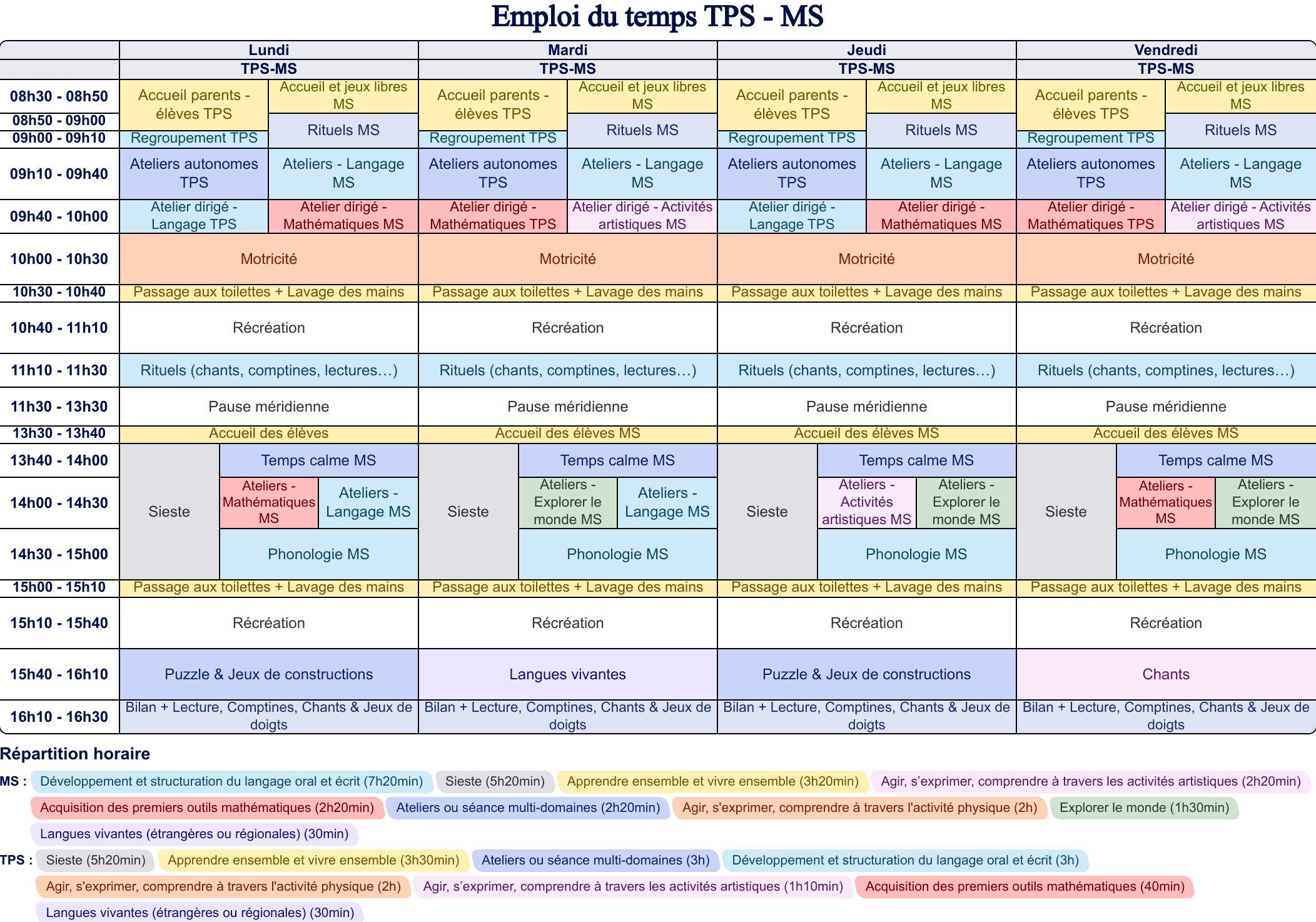 Modèle d'emploi du temps TPS-MS - aperçu