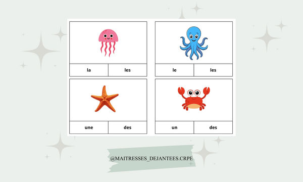 Cartes à pinces singulier pluriel Maitresses Déjantées