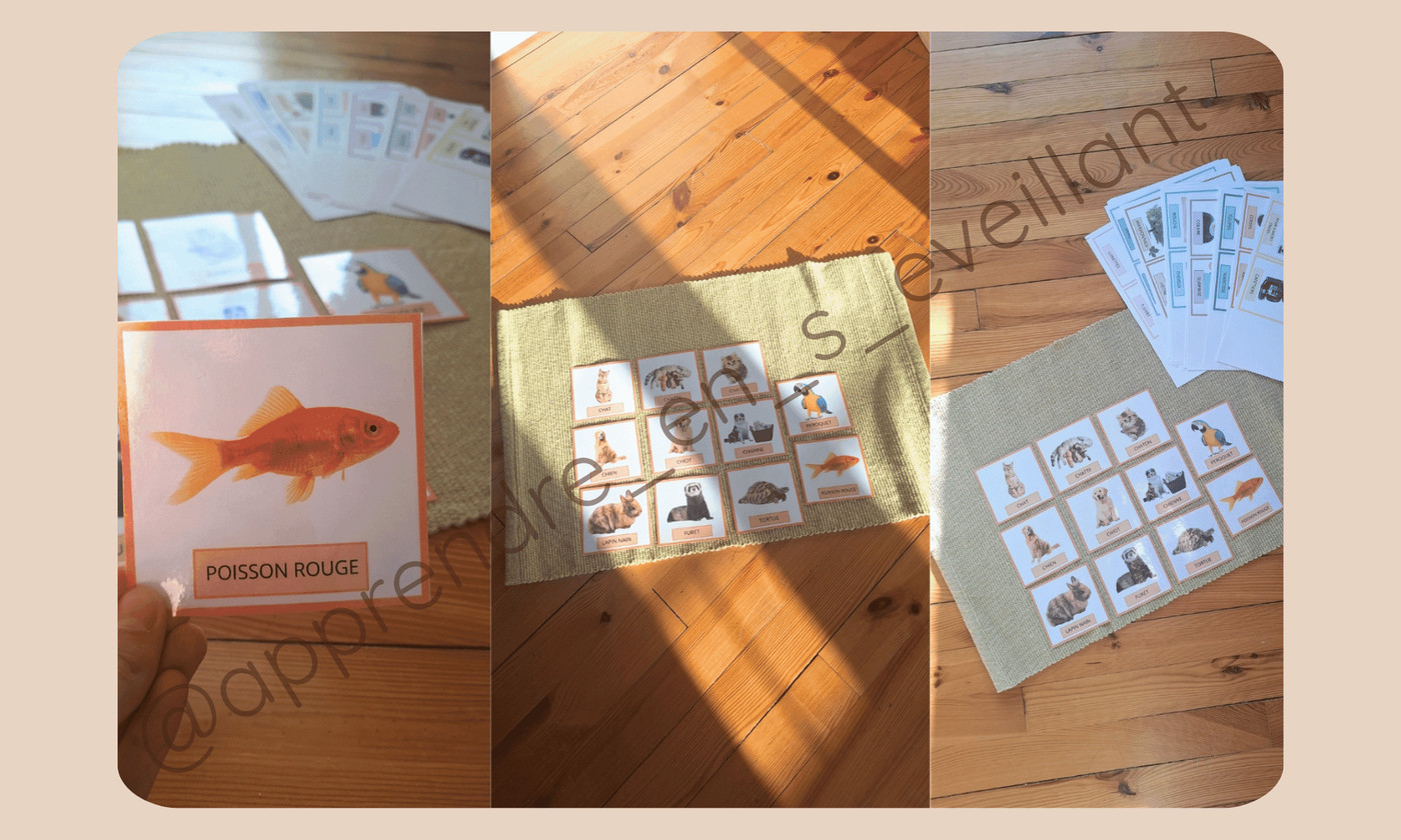 Cartes vocabulaire Apprendre en s'éveillant Vignette 2