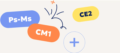Gestion des classes multi-niveaux