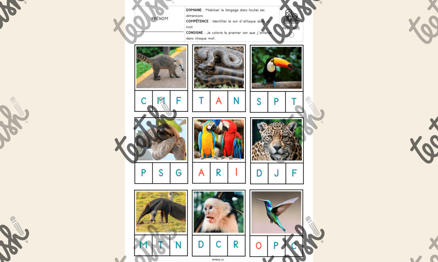 Aperçu La légende du colibri Maitresse Flo Visuel 4