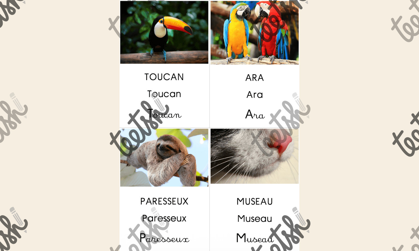 Aperçu La légende du colibri Maitresse Flo Visuel 6