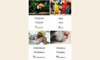 Aperçu La légende du colibri Maitresse Flo Visuel 6