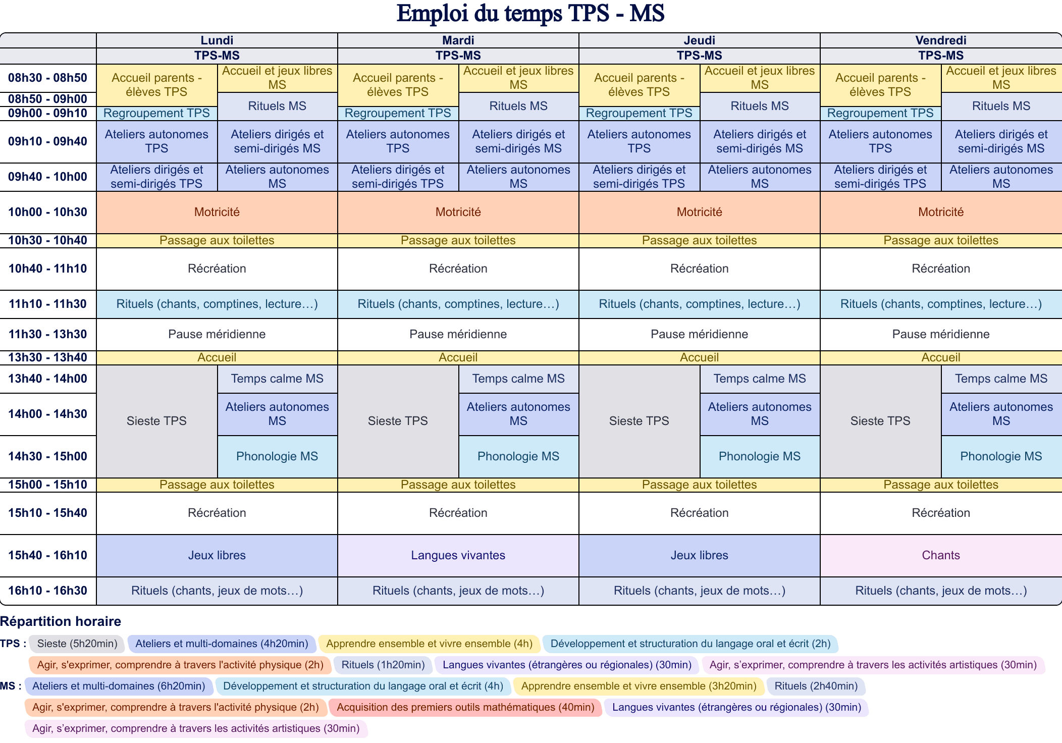 Modèle d'emploi du temps TPS - MS - aperçu