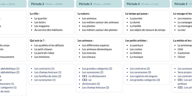 Modèle de programmation CE1 CE2 Français - aperçu