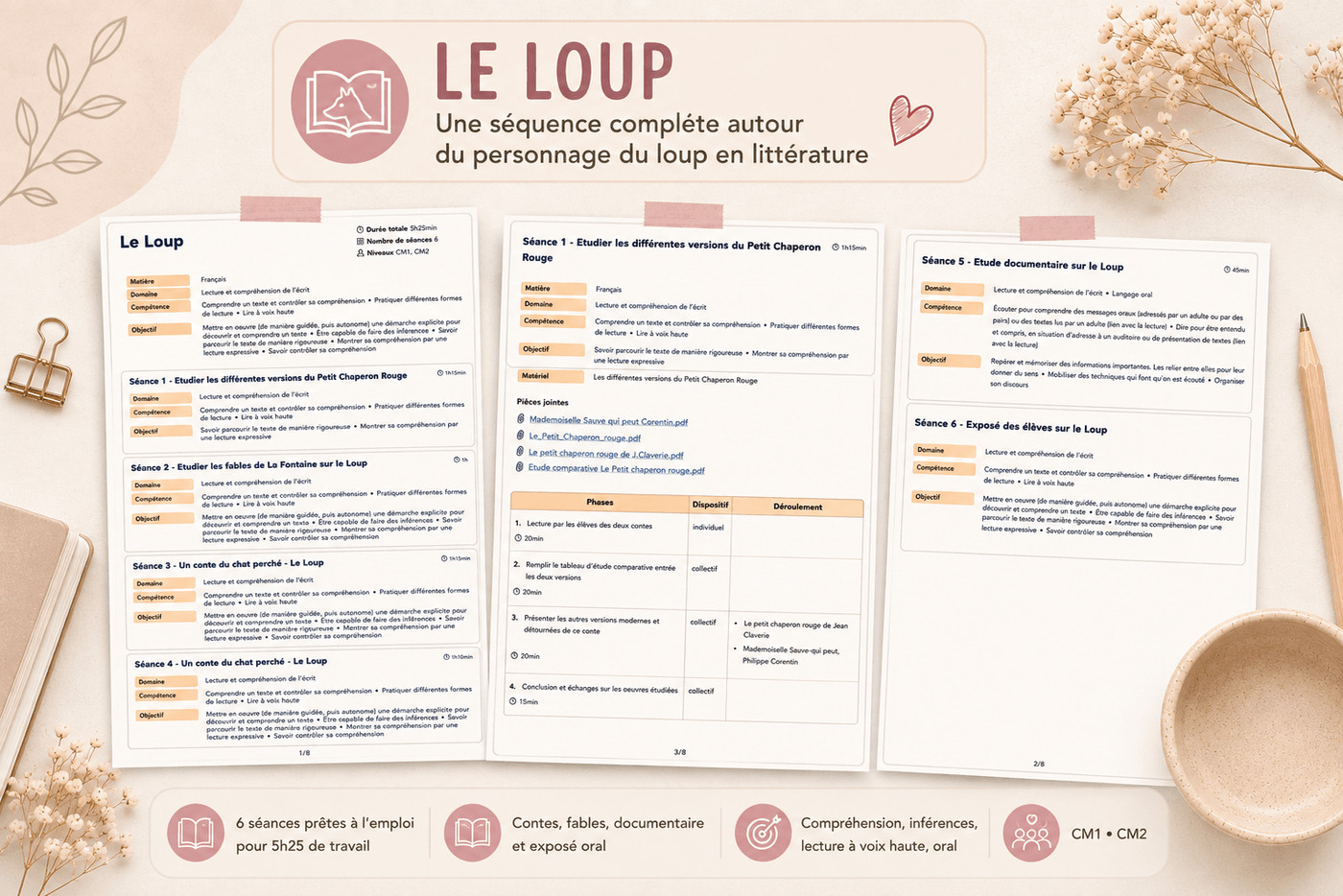 Aperçu Séquence le loup Madame Maitresse